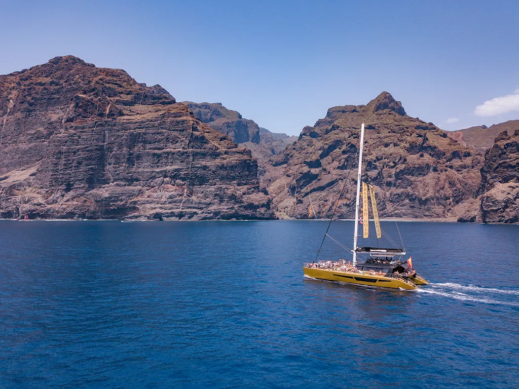 Catamaran & Dolphins